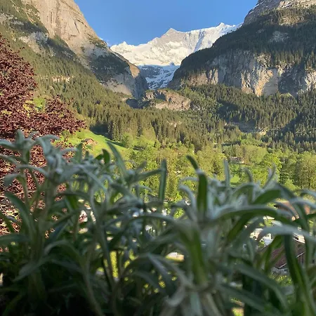 Velvet Eiger Apartmán Grindelwald