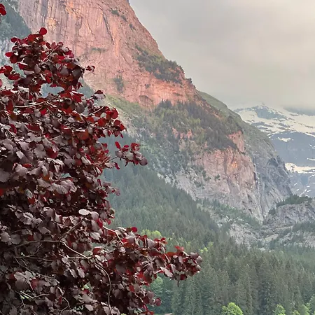 Appartement Velvet Eiger Grindelwald