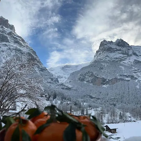 Apartman Velvet Eiger