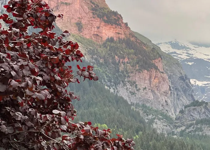 Lejlighed Velvet Eiger Grindelwald