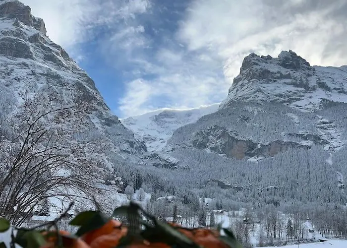 Lejlighed Velvet Eiger