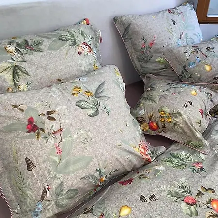 Apartment Velvet Eiger *