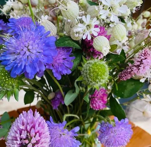 Velvet Eiger דירה