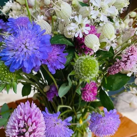 Velvet Eiger 아파트